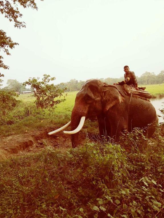 Unique Wild Resort โซราฮา ภายนอก รูปภาพ