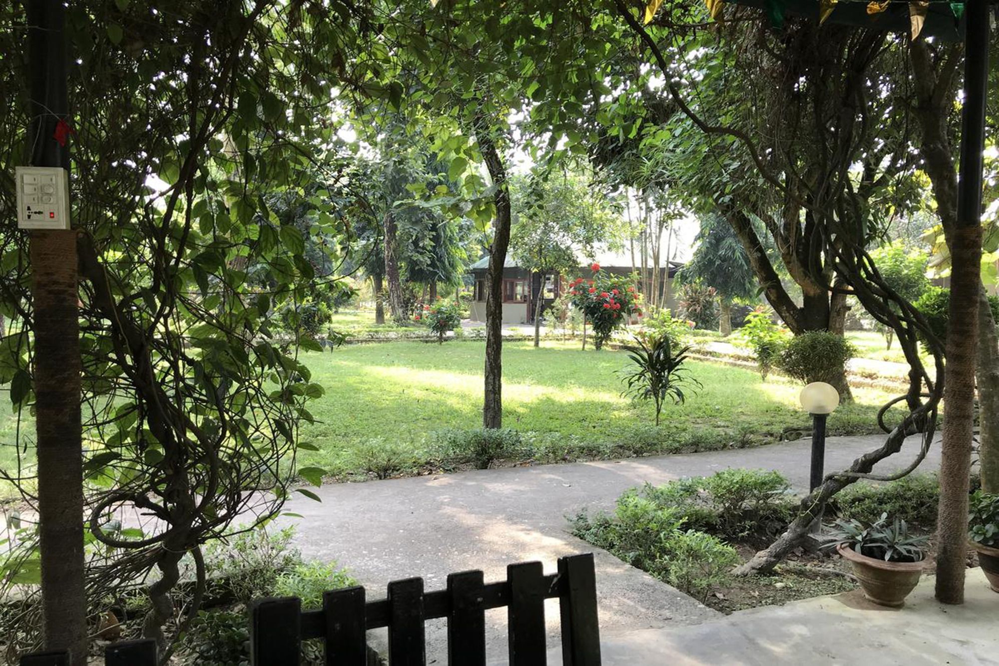 Unique Wild Resort โซราฮา ภายนอก รูปภาพ