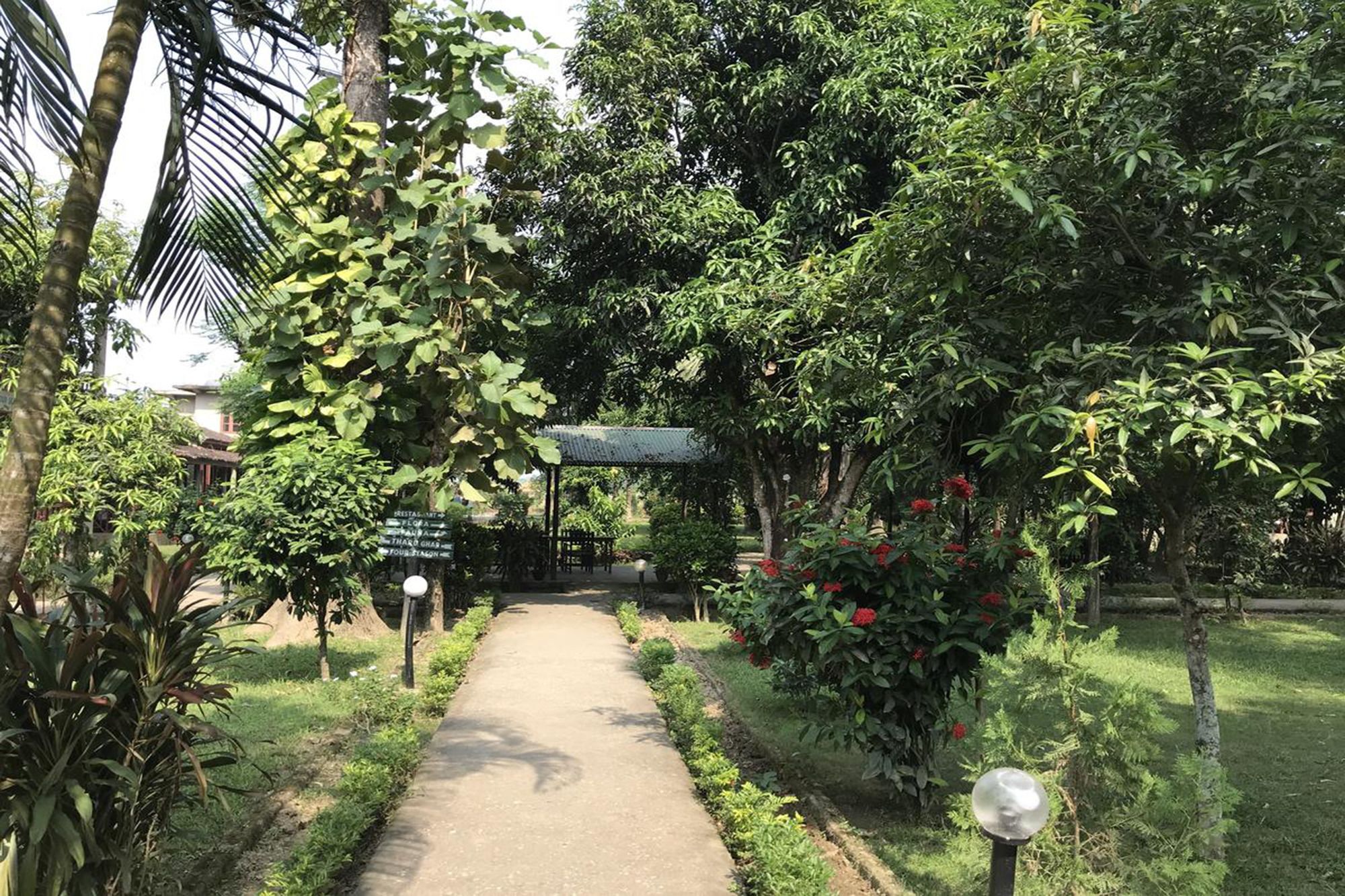 Unique Wild Resort โซราฮา ภายนอก รูปภาพ