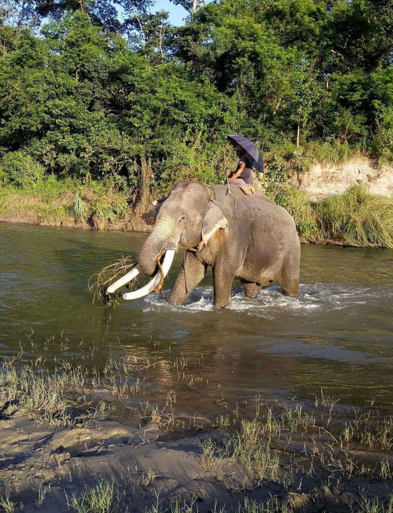 Unique Wild Resort โซราฮา ภายนอก รูปภาพ